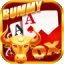 rummy paisa 51 bonus download